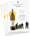 affiches-gemini