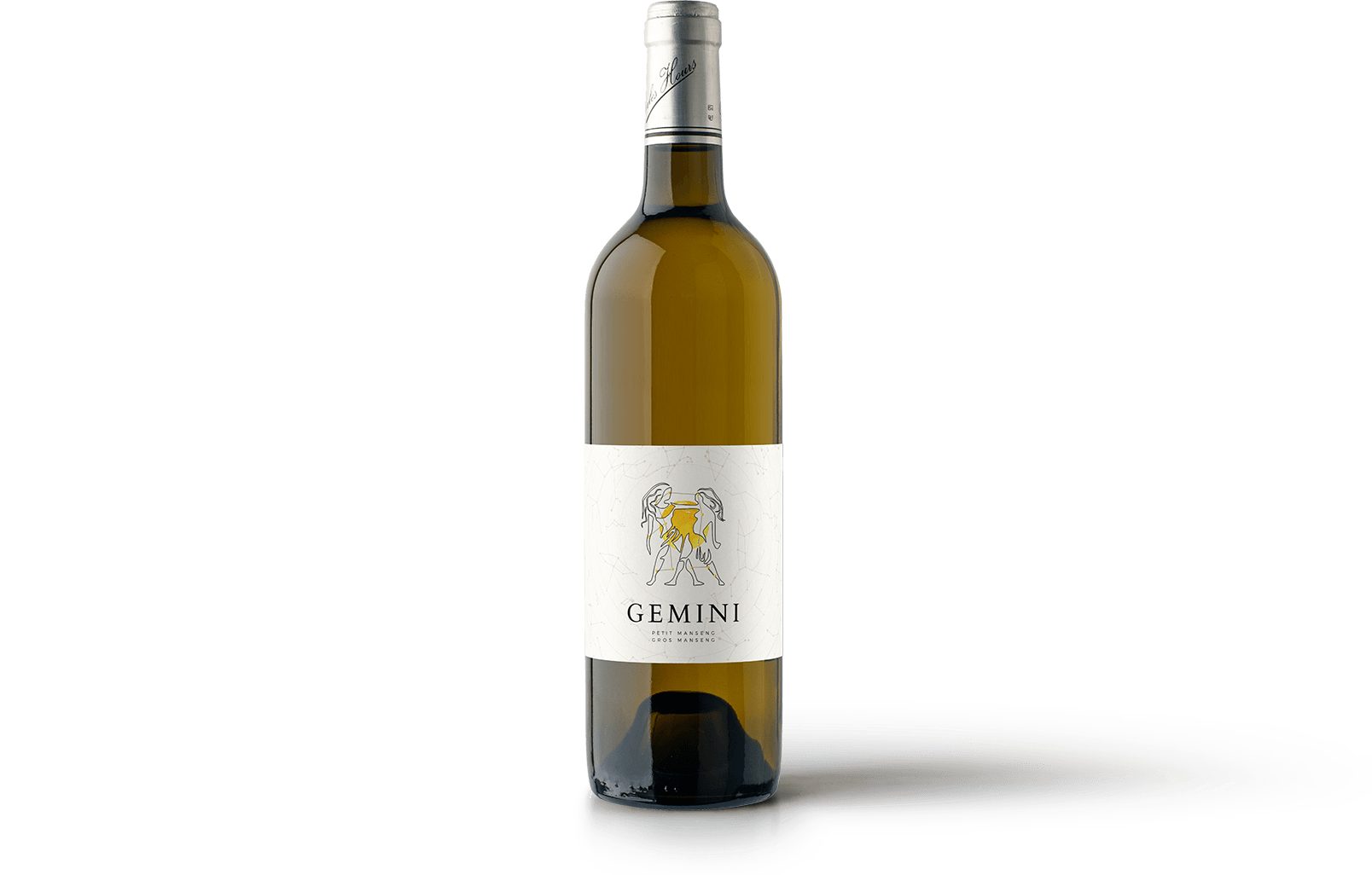 bouteille-gemini-presentation